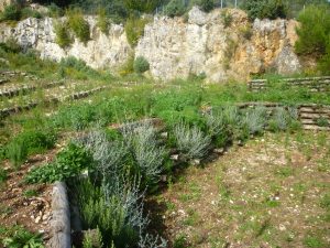 CONSORZIO DI BONIFICA MONTANA DEL GARGANO