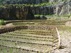 CONSORZIO DI BONIFICA MONTANA DEL GARGANO