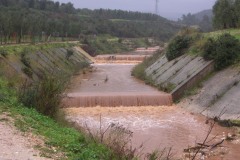 DSCN4797