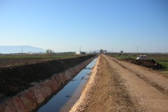 DSCN8208