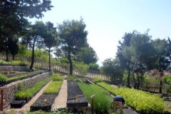 aiuole_terrazzate1