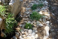 giardino_specie_rare1