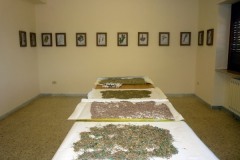 laboratorio1