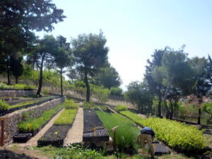 CONSORZIO DI BONIFICA DEL MONTANA DEL GARGANO