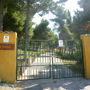 CONSORZIO DI BONIFICA MONTANA DEL GARGANO